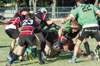 thumb_DSC_7105.JPG